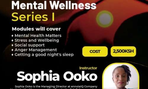 Mental Wellness Series I